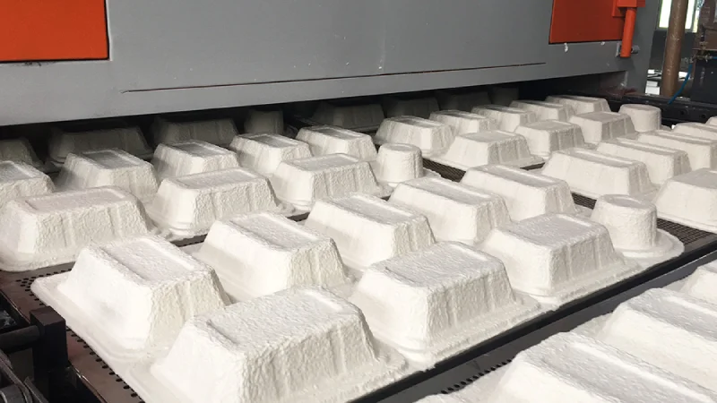 Iran Pulp molding tableware production line
