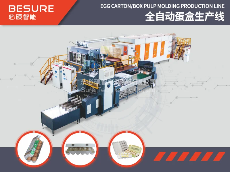 molded fiber egg carton production line