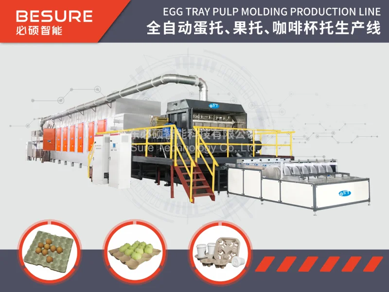pulp molding production line