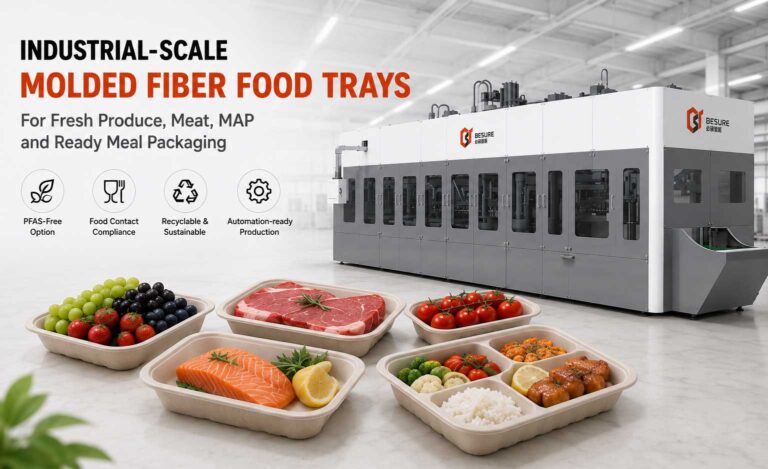 Industrial-scale molded fiber food trays for fresh produce, meat, MAP and ready meal packaging produced by Besure pulp molding equipment